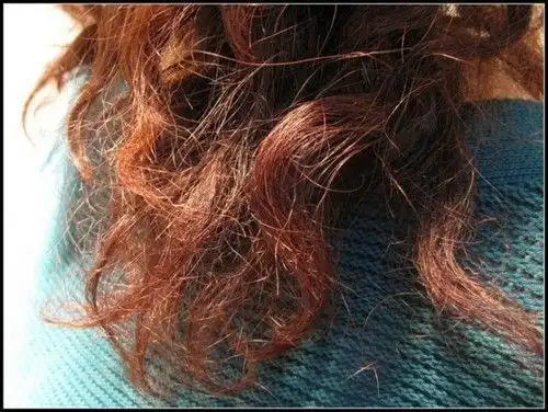 我的头发做了两次拉直,都烧焦了,怎么办啊?