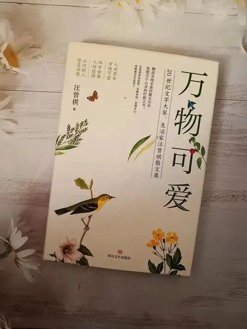 万物可爱人间值得