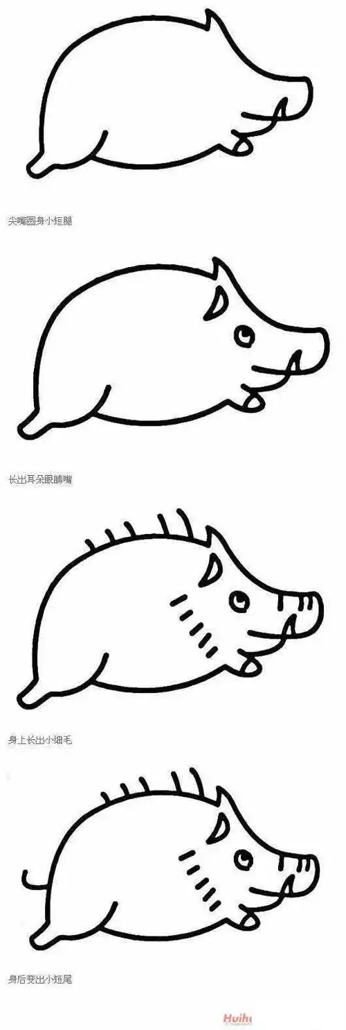 野猪手绘简笔画