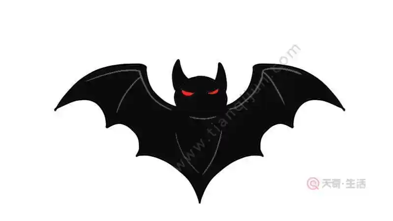 蝙蝠简笔画