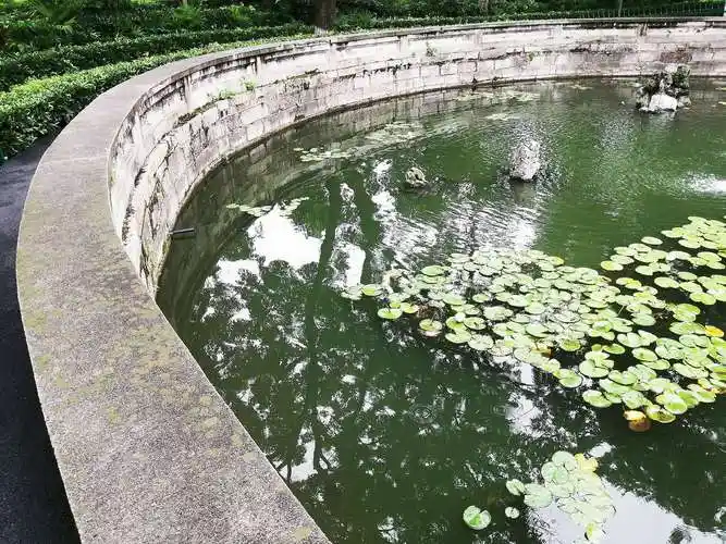 半圆形的水池,里面种植了许多睡莲.