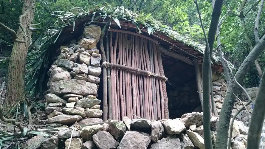 一教授远离都市准备在深山中搭建茅屋隐居