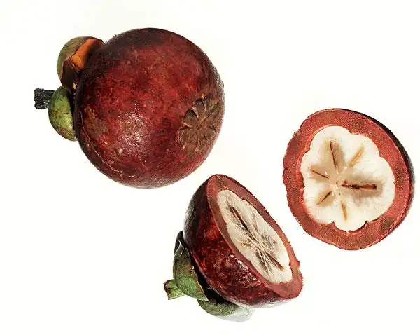 山竹图片_山竹图片大全_全景图片