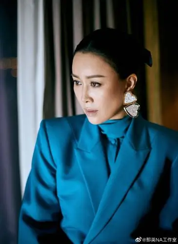 美人不迟暮那英的图集