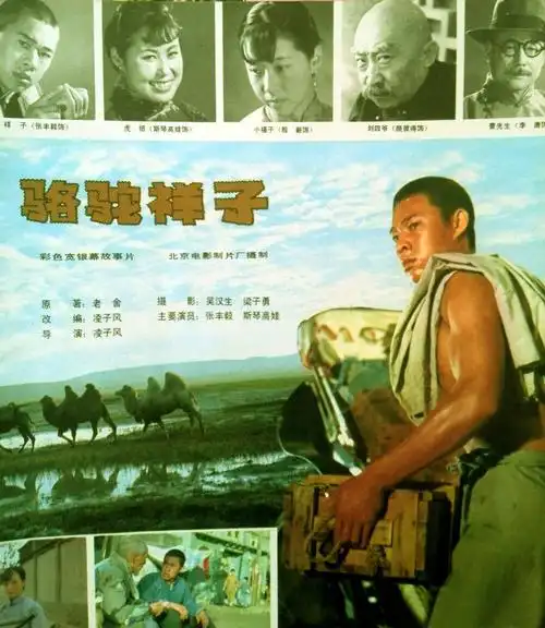 《骆驼祥子》海报1982年,经典影片《骆驼祥子》在全国隆重公映,引起了