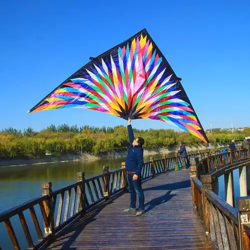 光芒三角风筝 碳素骨架 微风风筝 风筝批发 伞布风筝 大型风筝
