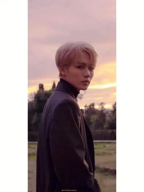 林彦俊小姐姐的花店壁纸530