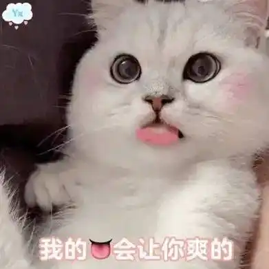 "污污表情包,谁都受不了"