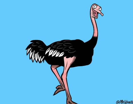 23个万万想不到的动物冷知识,知道5个以上算你厉害!