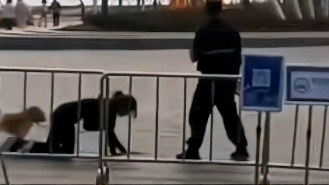 广东:女子戴项圈与狗拴在一起跪地爬行,网友:圈子不同别硬融