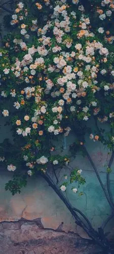 法式- 堆糖,美图壁纸兴趣社区