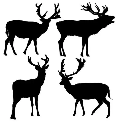 鹿剪影,白色背景的鹿形轮廓