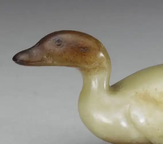 【图20】玉龟背甲纹饰,除脊棱骨上一串双环纹之外