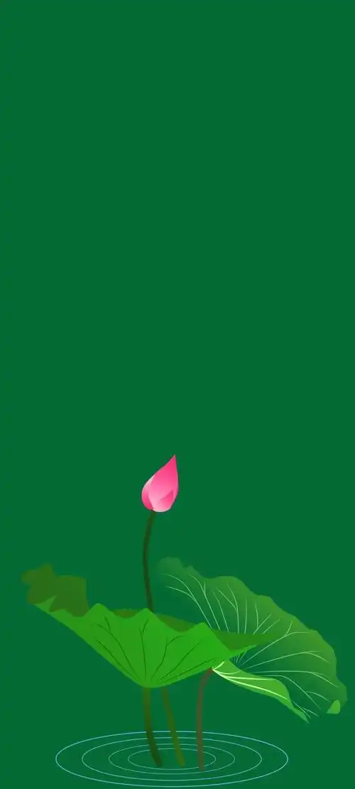 清新绿色护眼荷花壁纸