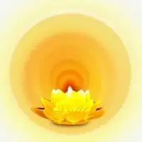 微信金色莲花头像大全 寓意金光闪闪佛教莲花头像 - 微信头像大全网