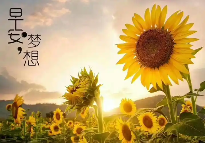 梅河口市中心医院"有爱有未来" 大型专家义诊活动