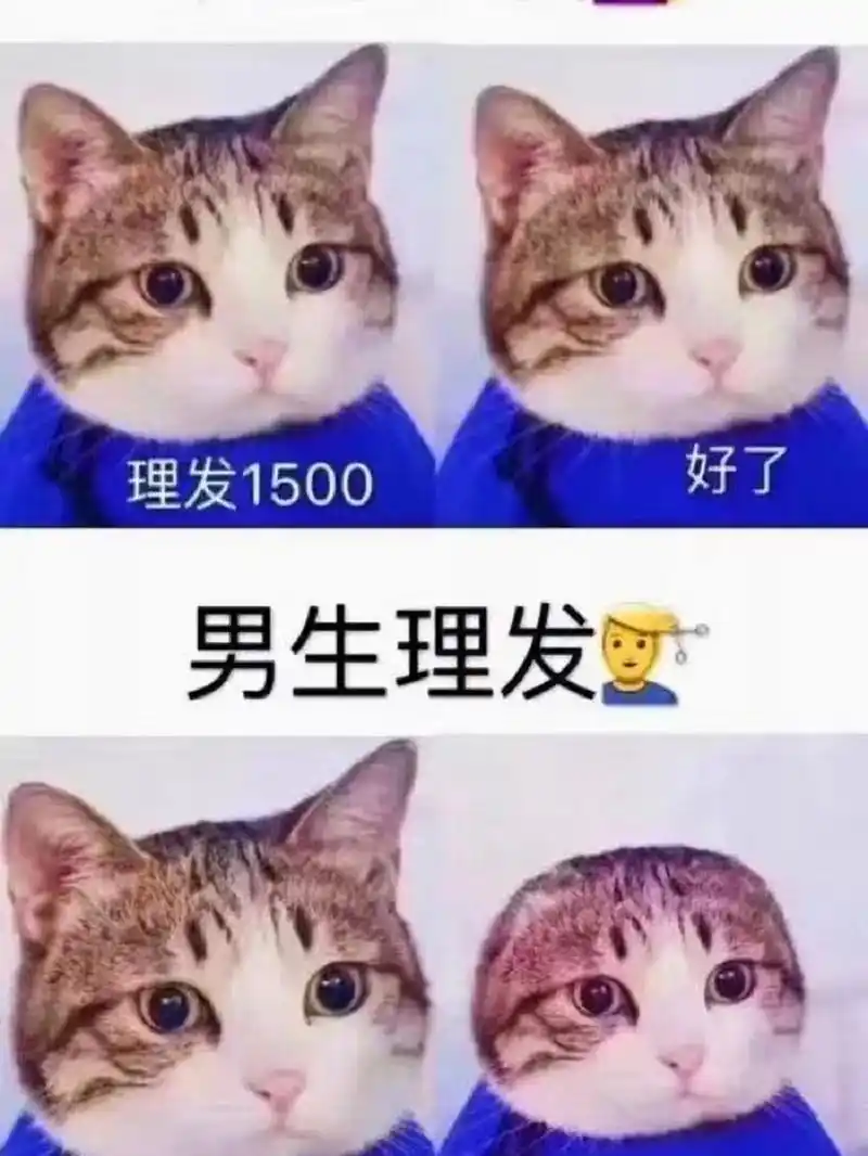 男生理发vs女生理发,是不是这样