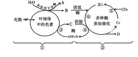 下图是绿色植物光合作用过程图解,请据图回答.