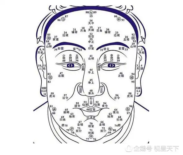 面部痦子女图解(富贵穷,好运与厄运,看看你面上的这些痣!