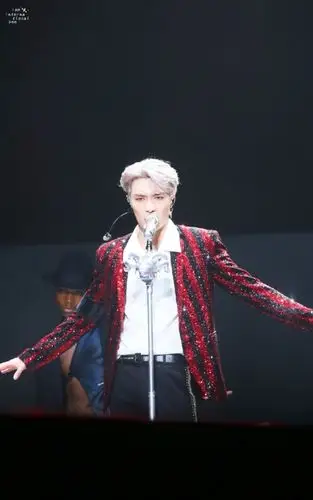 艺兴哥演唱会-exo的明星女儿-话本小说网