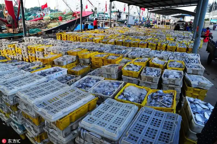 江苏太仓海产品市场繁忙 近千吨海货