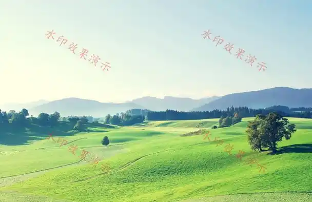 怎么给片加水印文字?