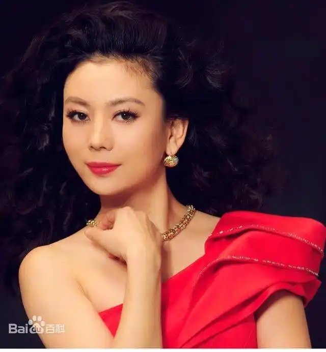 在网络上搜索朱军儿子,首先出来的是"朱军儿子智障"