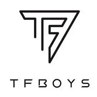 tfboys的logo设计案例
