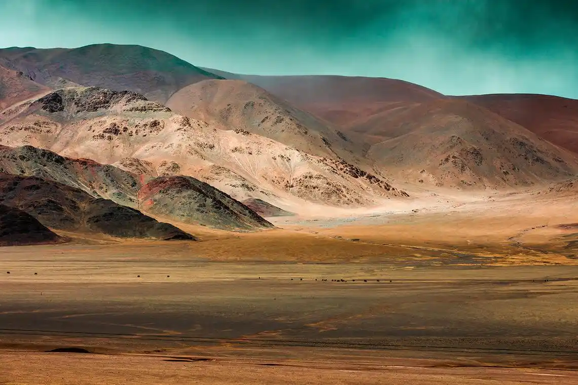 羌塘无人区羚羊野驴犹如仙间跌落人间的精灵 - 老强摄影学堂 - 图虫