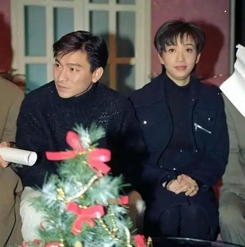 刘德华与梅艳芳就只是朋友?