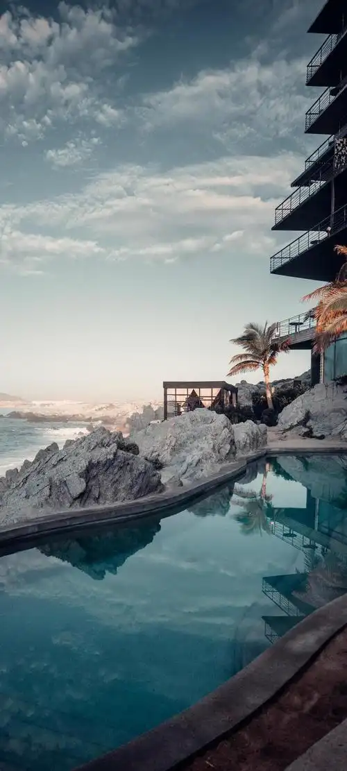 [一叶花开]全面屏的视觉盛宴!8k精选壁纸!