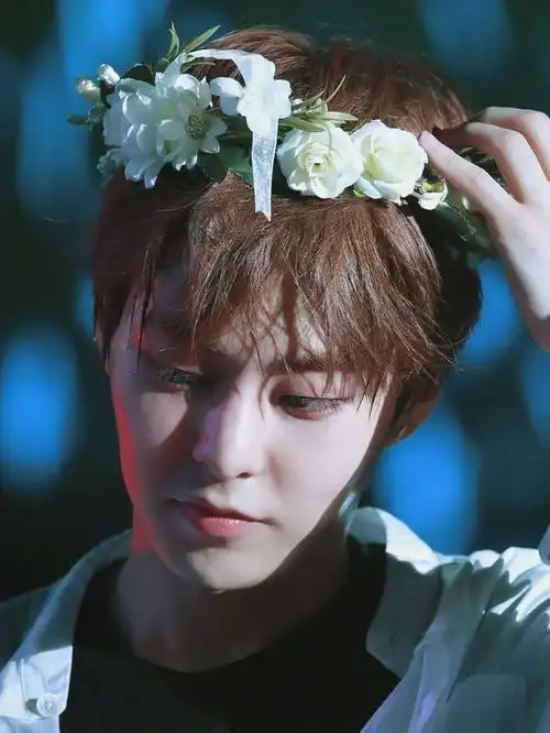 花丛精灵金珉锡蝴蝶少年273707 - 高清图片,堆