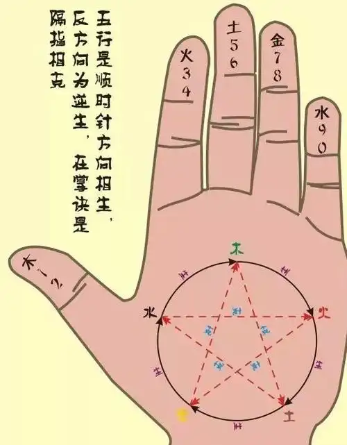 实用的十六个掌诀图|地支|天干|五行