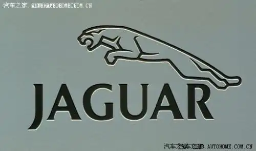车前标志是猎豹叫什么名子啊