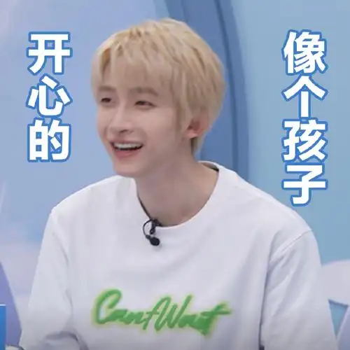 可爱的,认真的@into1-刘宇小森都有转赞评说说你pick哪个小宇表情包,4