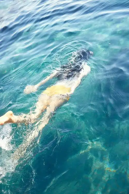 裴珠泫个人展会