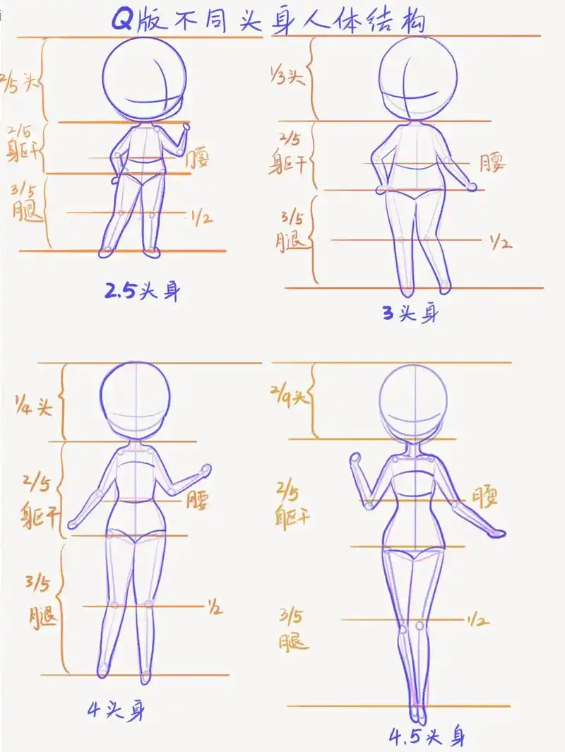 q版人物不同比例身体结构画法#人体结构 #q版人物 #绘画