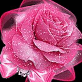 送你99朵玫瑰,太美了!谁打开就是缘分,就是祝福!