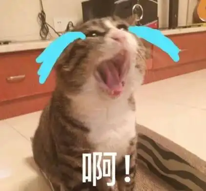 啊 哇的一声哭出来(猫咪) - 热门表情包精选-2017/08/29_斗图表情