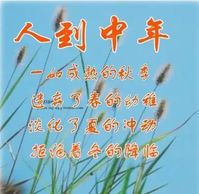 人到中年的最重要标志就是认识到自己就是一凡人,那些天才和名人,与你