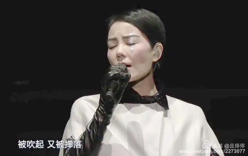 王菲演唱会印记