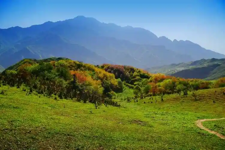 五一假期两次打卡蓝田流峪寺村高山草甸