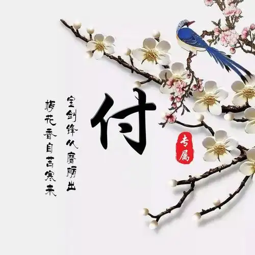 你的微信头像该换了35张梅花百家姓氏头像有你的姓氏吗