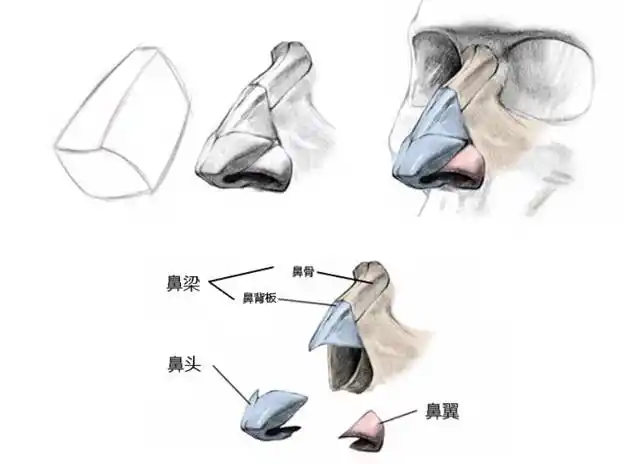 美是窄门——避免假体感的鼻梁修容法