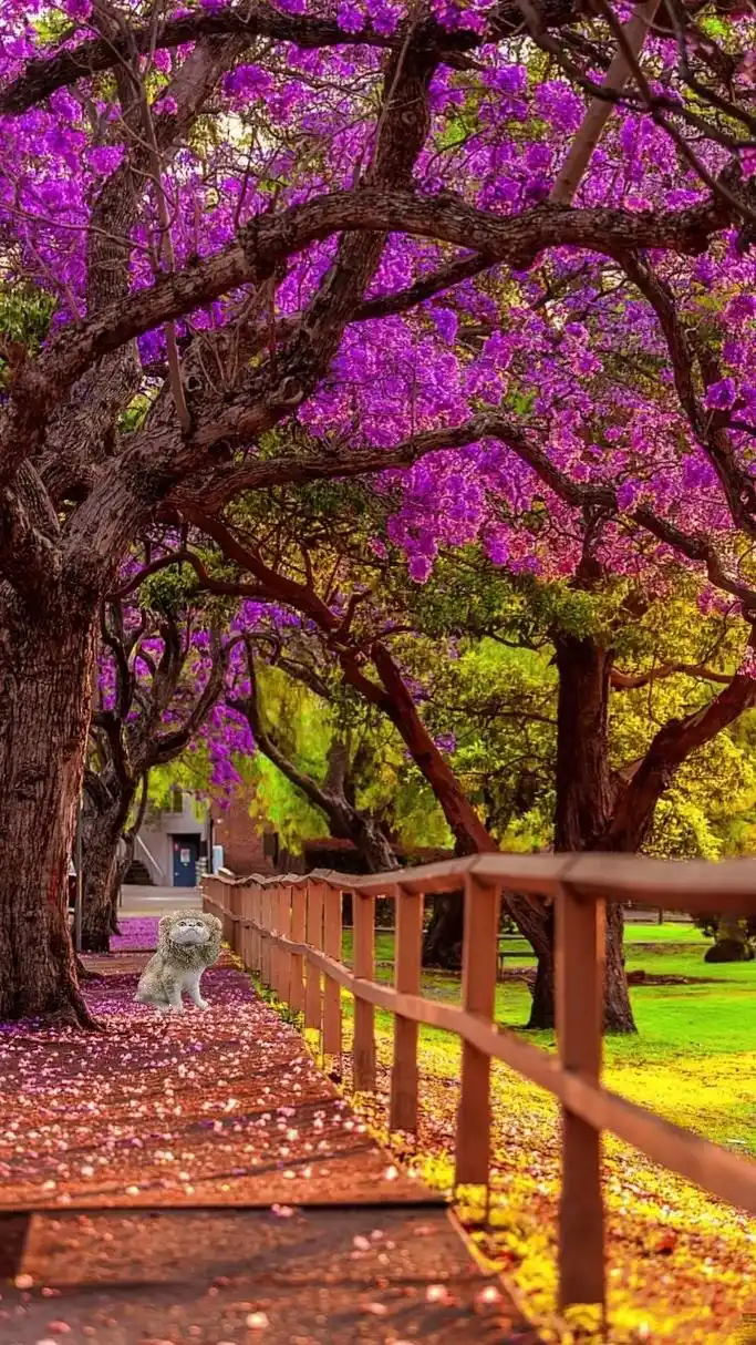 唯美意境风景高清手机壁纸