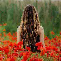 花丛中美女背影图片头像紫色点击鼠标右键下载