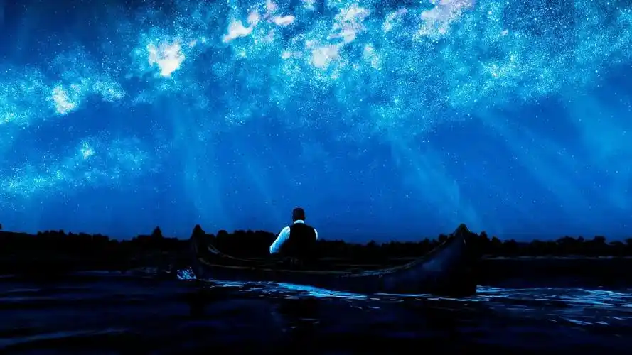 抬头时璀璨星空,低头是人间花海,这世间美景也就这样了!