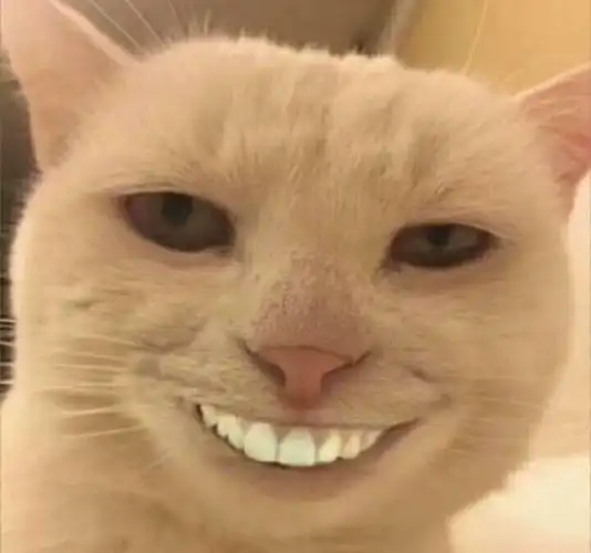 嘿嘿一笑_表情包_斗图图片