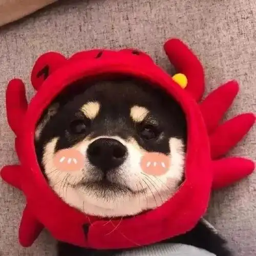 红色系头像你是生活扑面而来的善意