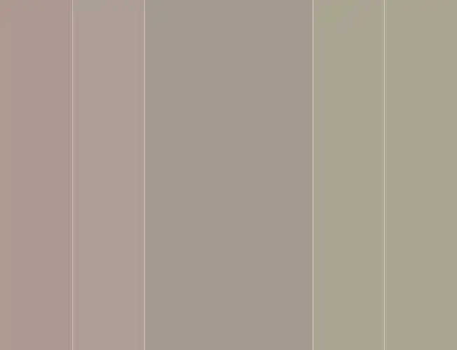 色彩优雅灰褐色清新都市美学演绎月光仙境